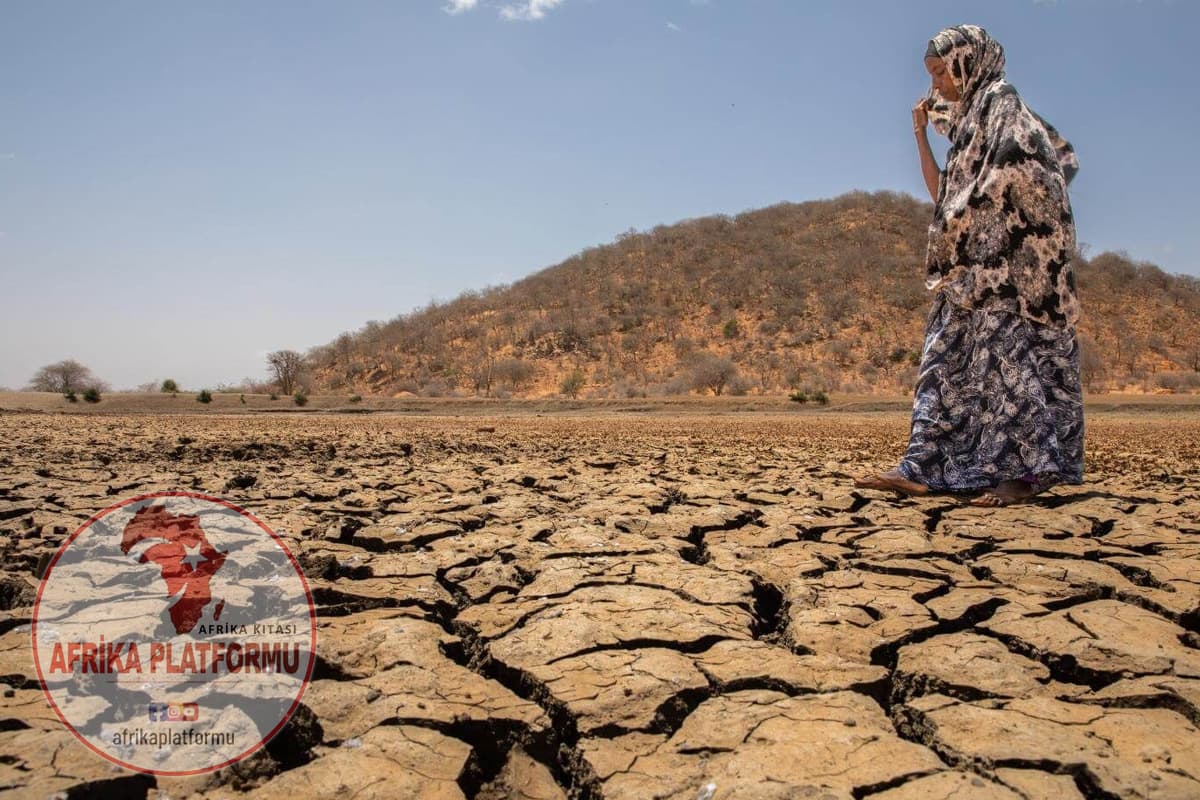 Afrika’da Kuraklık: Kıtanın En Büyük Sınavı