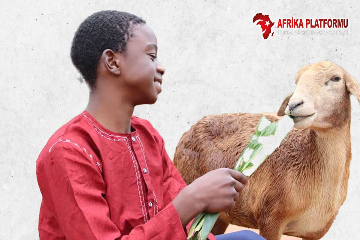 Vacip Kurban İbadetinizle Afrika’da Bayramı Birlikte Yaşatalım