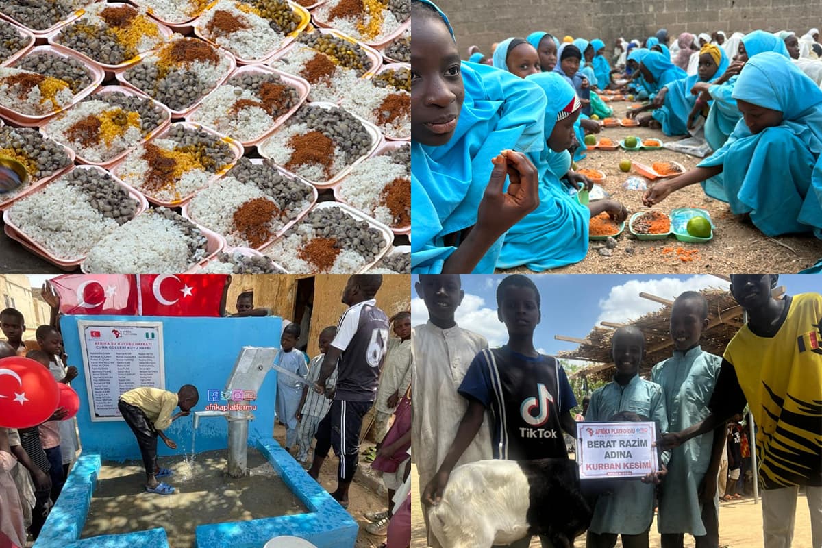 Afrika Platformu Organizasyonu Hizmetleri