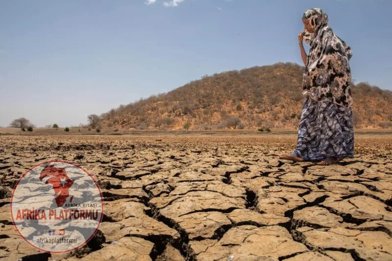 Afrika’da Kuraklık: Kıtanın En Büyük Sınavı