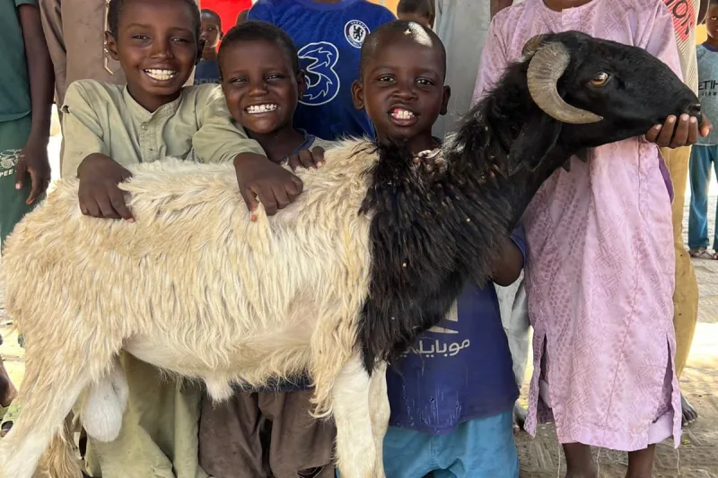 Votivopfer für die Beschneidung in Afrika